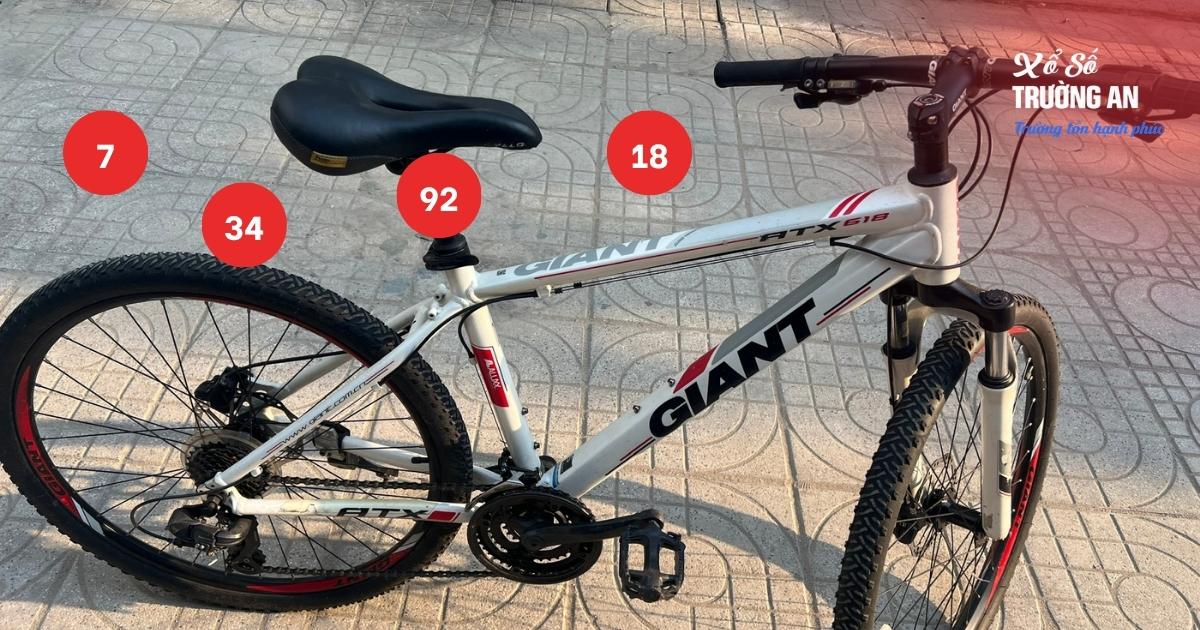 mơ thấy ăn cắp xe đạp (5)